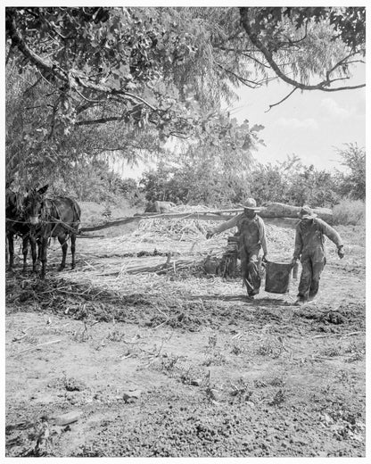 Sorghum Mill in New Carthage Mississippi August 1938 FSA OWI Collection - Available at KNOWOL