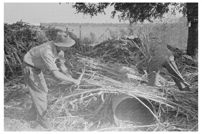 Sorghum Workers at Lake Dick Arkansas 1938 - Available at KNOWOL