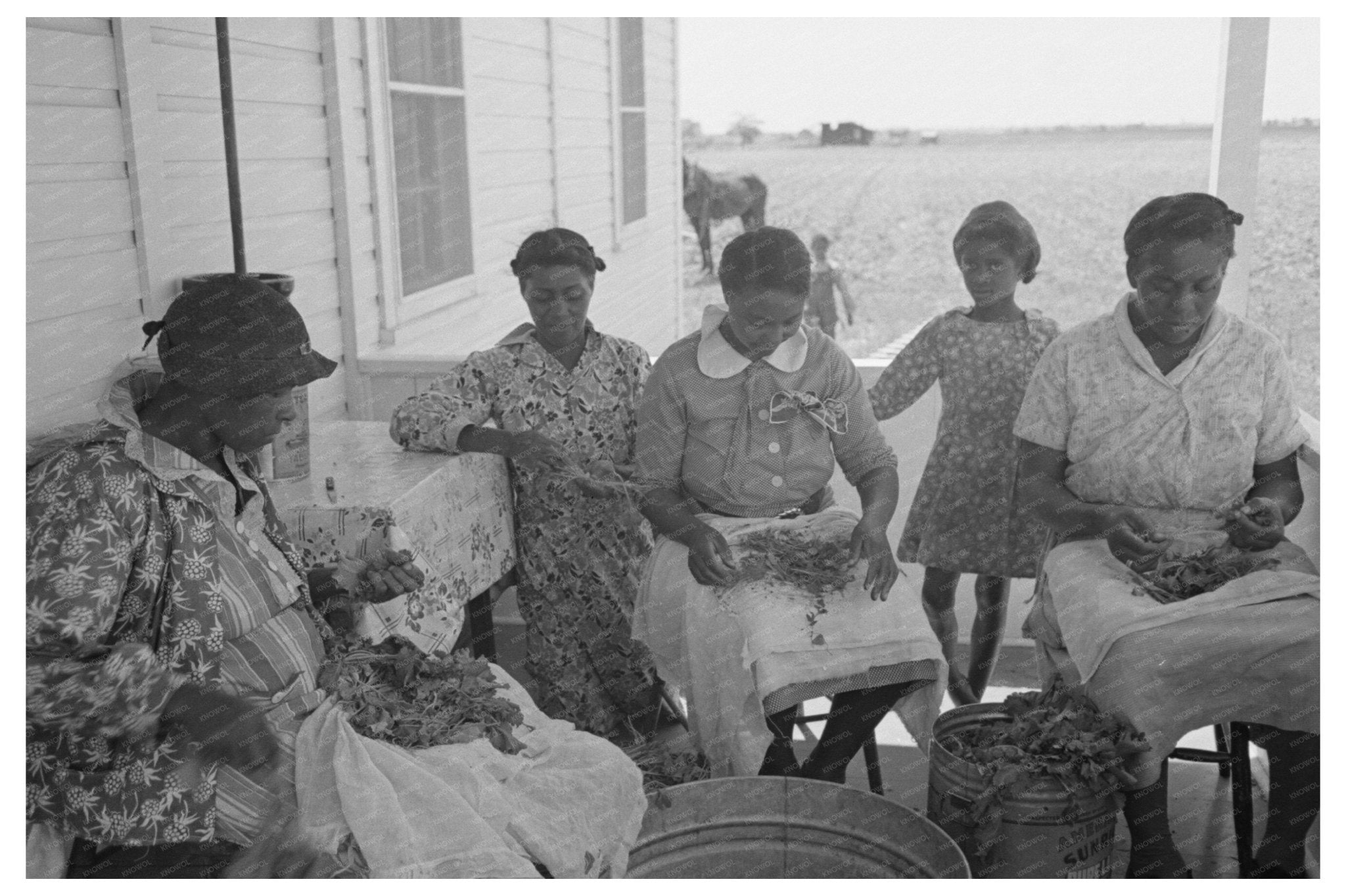 Southeast Missouri Farms Canning Greens May 1938 - Available at KNOWOL