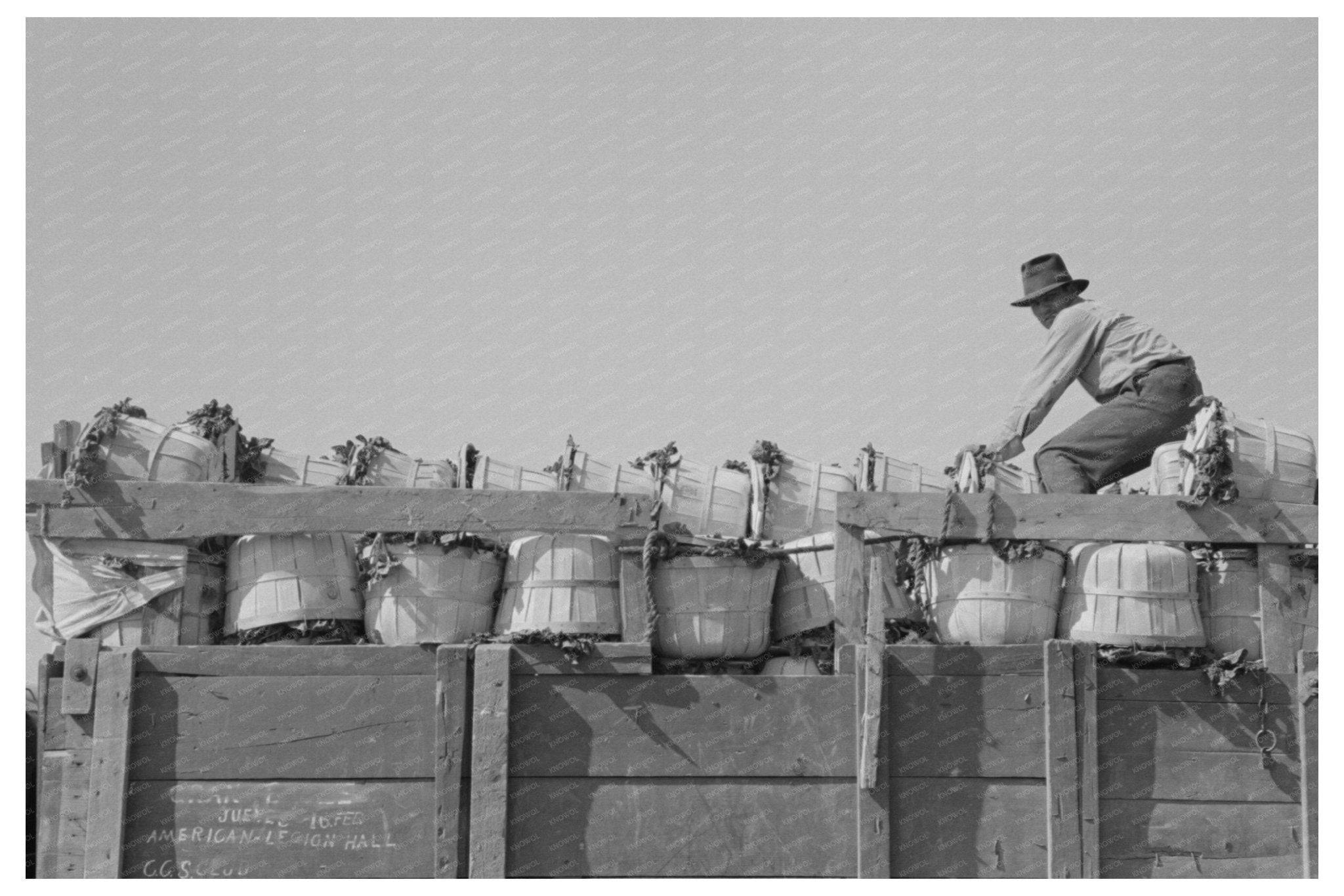 Spinach Loader on Truck in La Pryor Texas March 1939 - Available at KNOWOL