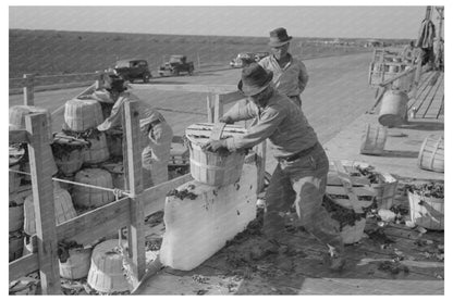 Spinach Unloading at La Pryor Packing Plant March 1939 - Available at KNOWOL