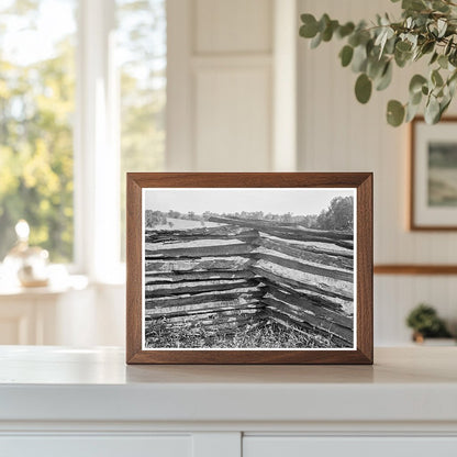 Split - Log Fence in Arkansas August 1938 - Available at KNOWOL