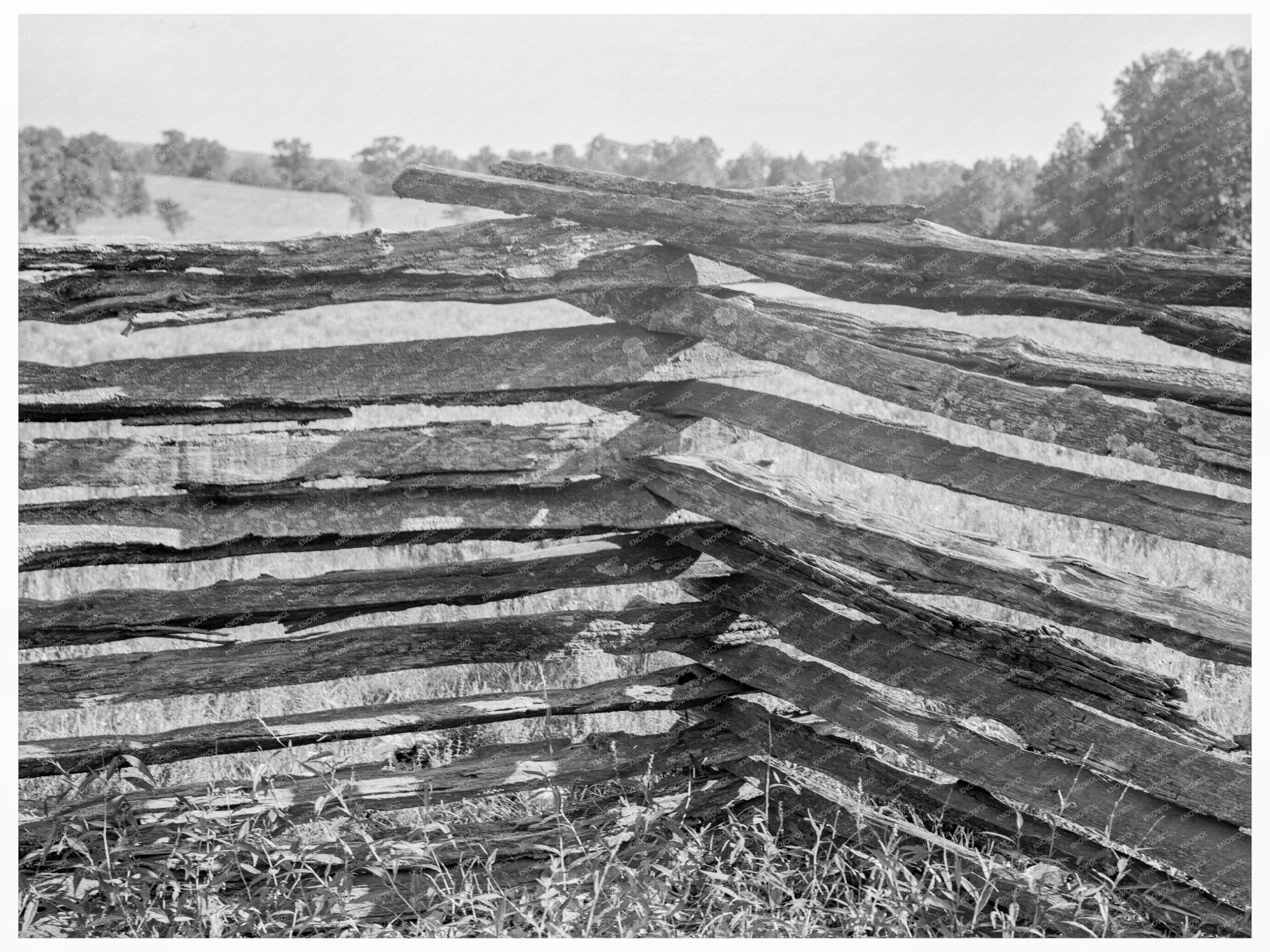 Split - Log Fence in Arkansas August 1938 - Available at KNOWOL