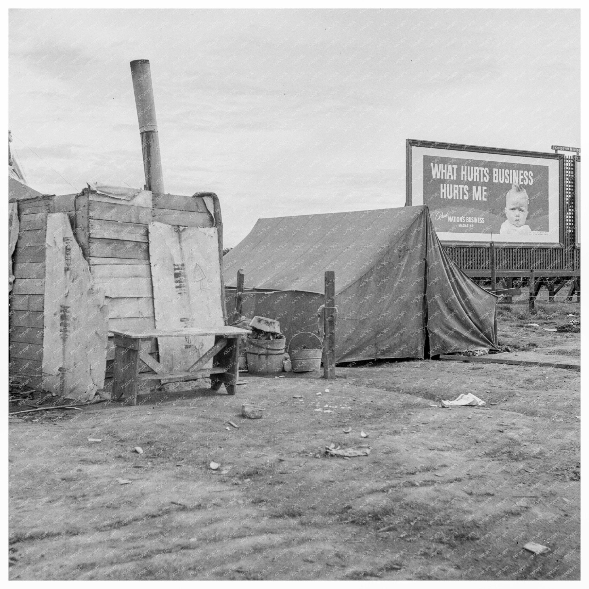 Squatter Camp for Orange Pickers in California 1938 - Available at KNOWOL