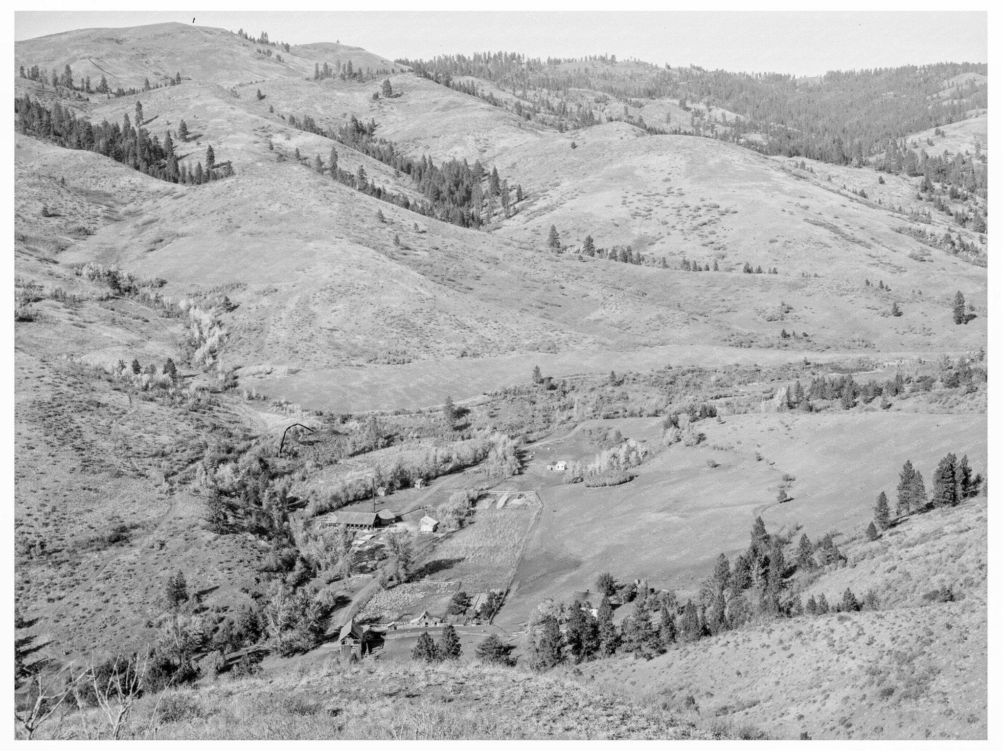 Squaw Creek Valley Timber Resources Gem County Idaho 1939 - Available at KNOWOL