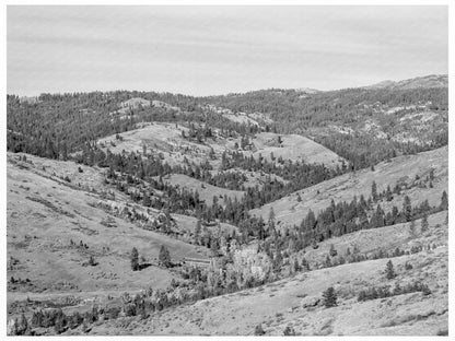 Squaw Creek Valley Timber Resources Idaho 1939 - Available at KNOWOL