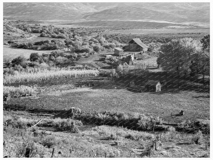 Squaw Valley Farm Idaho 1939 Historical Agriculture Image - Available at KNOWOL