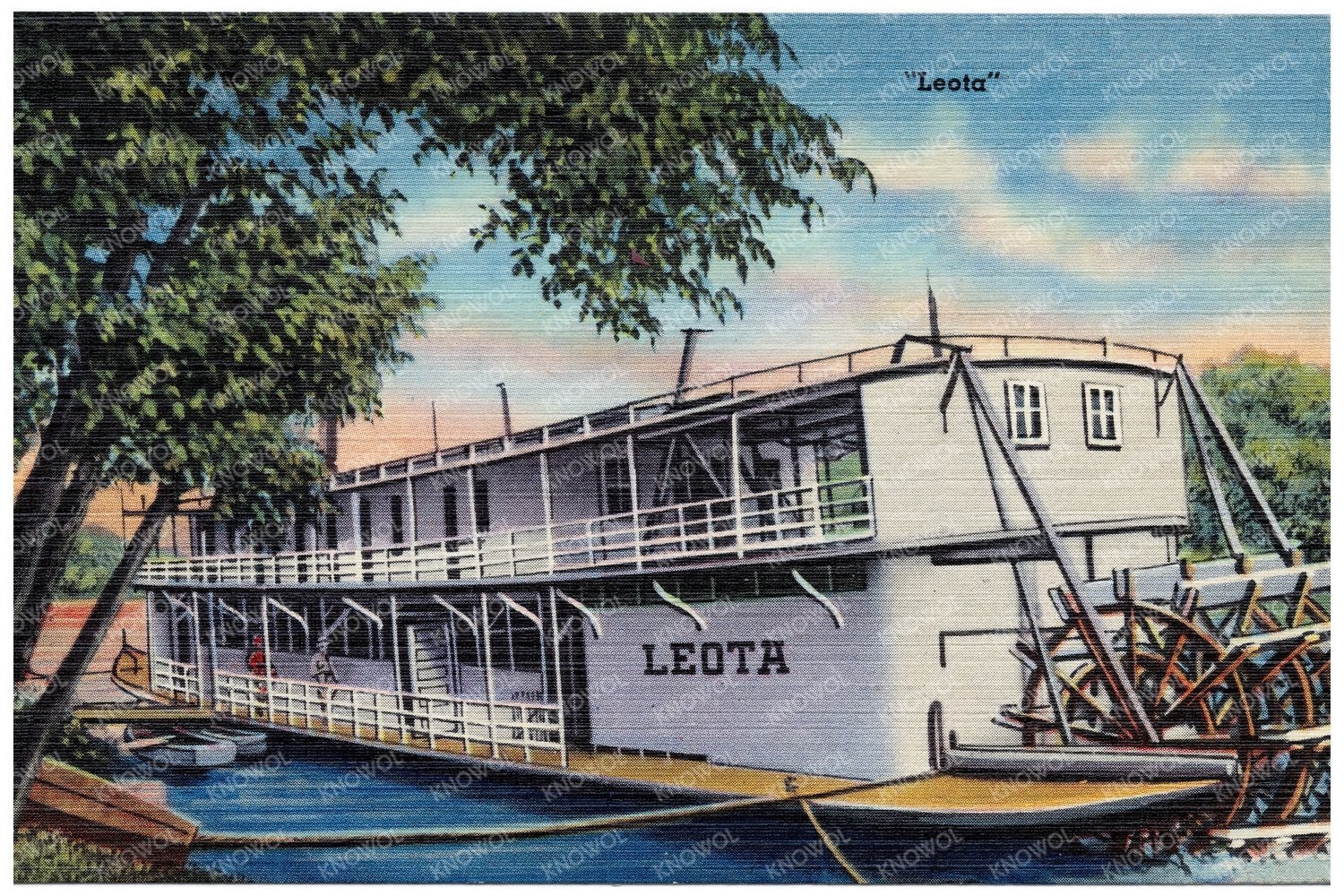 Steamboat Leota Vintage Postcard 1930 - 1945 - Available at KNOWOL