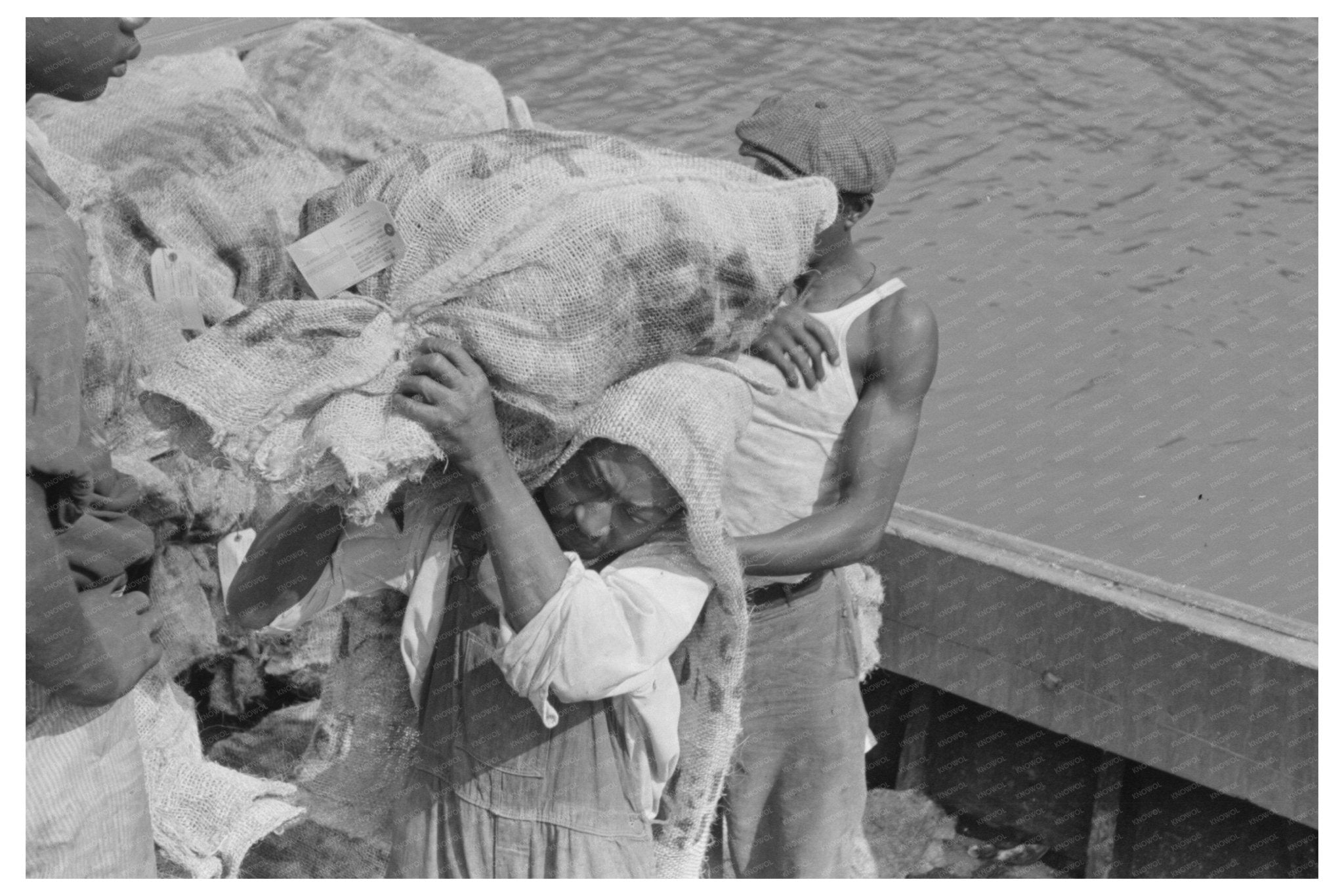 Stevedore Carrying Oysters in Olga Louisiana 1938 - Available at KNOWOL