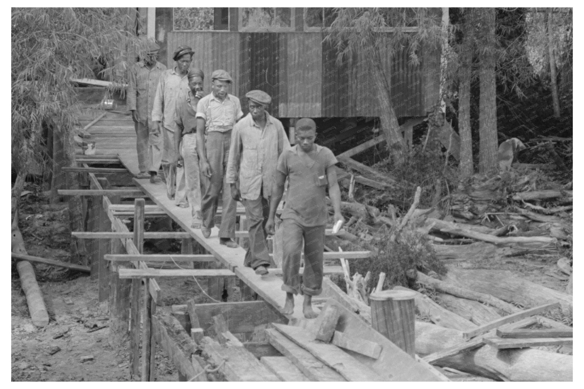 Stevedores Unloading Cargo in Venice Louisiana 1938 - Available at KNOWOL