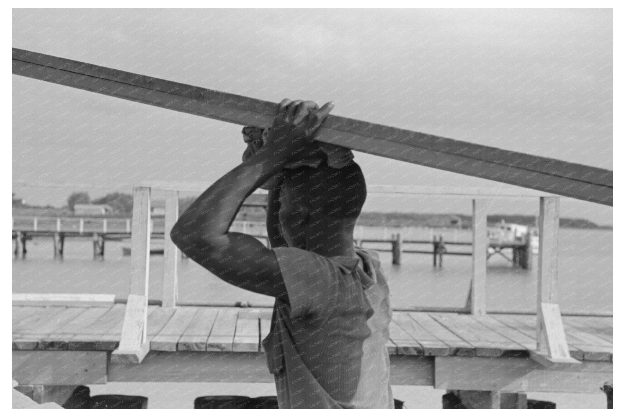 Stevedores Unloading Lumber in Pilottown Louisiana 1938 - Available at KNOWOL