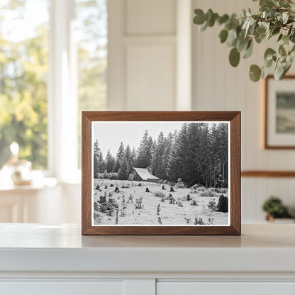 Stock Farm in Lewis County Washington August 1939 - Available at KNOWOL