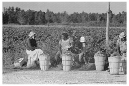 String Bean Pickers Await Trucks in Gibson Louisiana 1938 - Available at KNOWOL