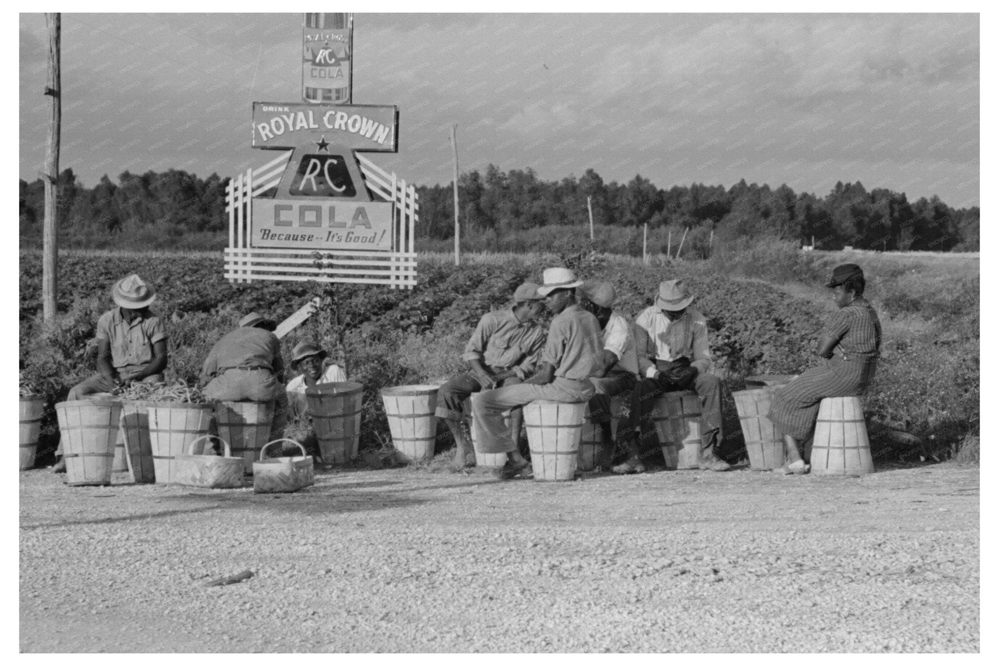 String Bean Pickers Awaiting Transport Louisiana 1938 - Available at KNOWOL