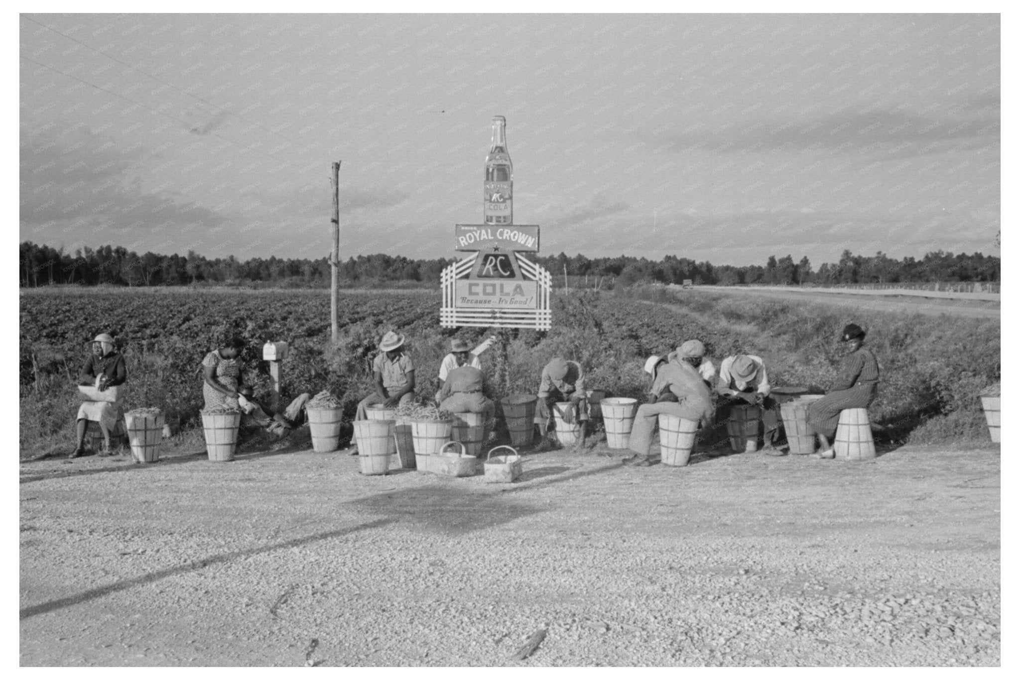 String Bean Pickers Waiting for Transport Louisiana 1938 - Available at KNOWOL