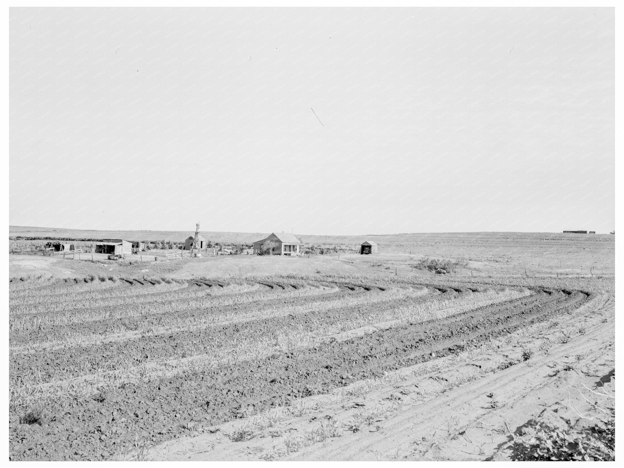 Strip Cropping Techniques in Childress County Texas 1938 - Available at KNOWOL