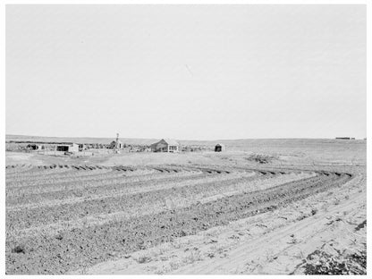 Strip Cropping Techniques in Childress County Texas 1938 - Available at KNOWOL