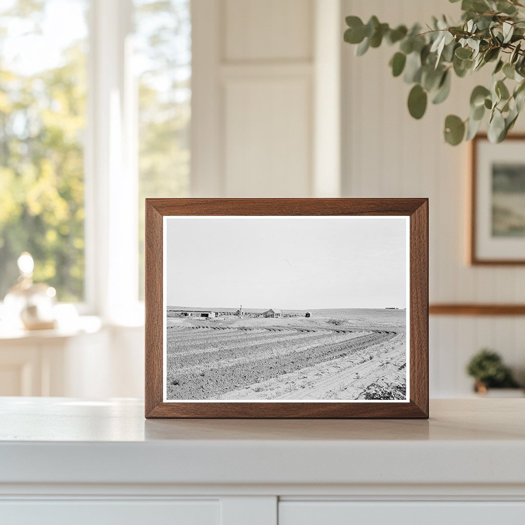 Strip Cropping Techniques in Childress County Texas 1938 - Available at KNOWOL