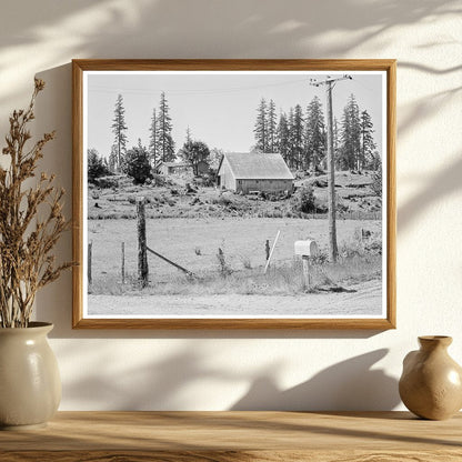 Stump Farm Lewis County Washington August 1939 Image - Available at KNOWOL