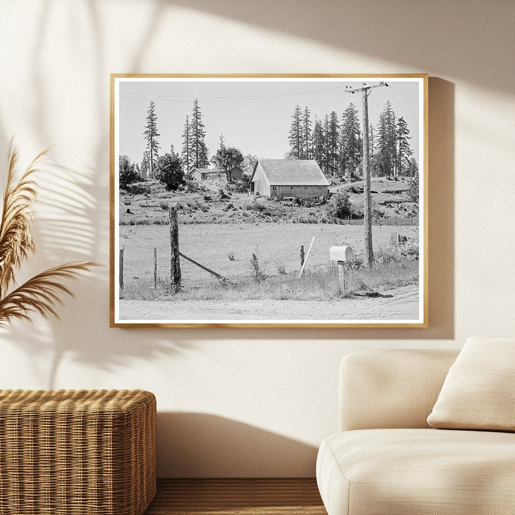 Stump Farm Lewis County Washington August 1939 Image - Available at KNOWOL