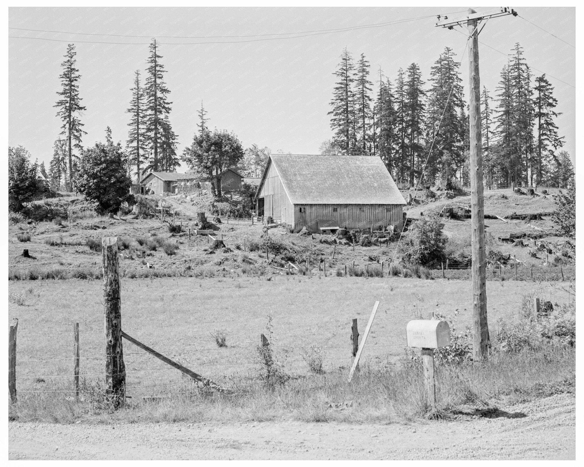 Stump Farm Lewis County Washington August 1939 Image - Available at KNOWOL