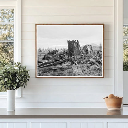 Stumps Ready for Burning Cox Farm Bonner County Idaho 1939 - Available at KNOWOL