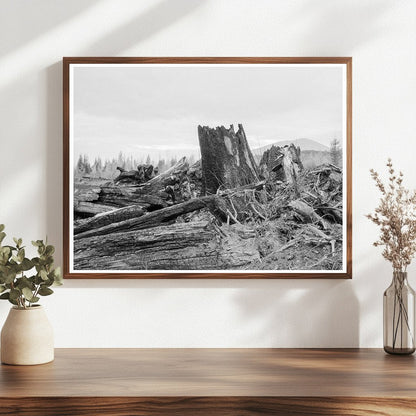 Stumps Ready for Burning Cox Farm Bonner County Idaho 1939 - Available at KNOWOL