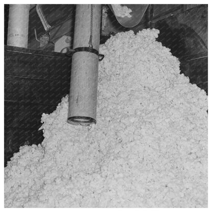 Suction Pipe and Raw Cotton at Jefferson County Cotton Gin 1938 - Available at KNOWOL