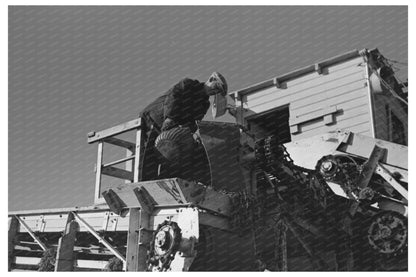 Sugar Beet Unloading in East Grand Forks 1937 - Available at KNOWOL