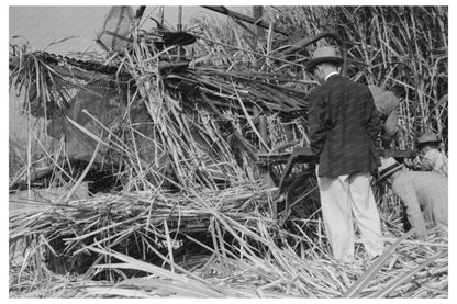 Sugarcane Experts Inspect Wurtele Harvester November 1938 - Available at KNOWOL