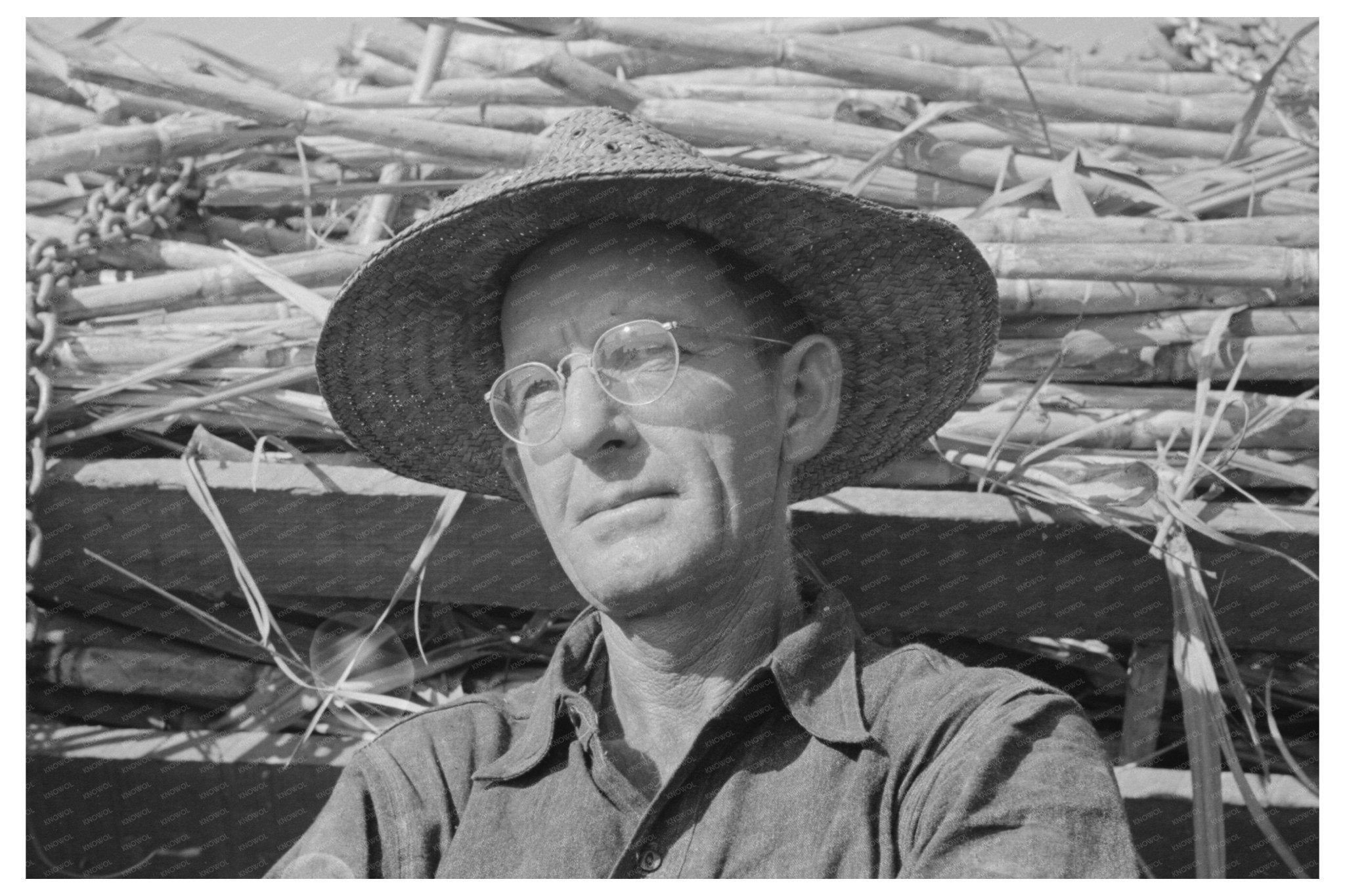 Sugarcane Farmer in Delcambre Louisiana 1938 - Available at KNOWOL