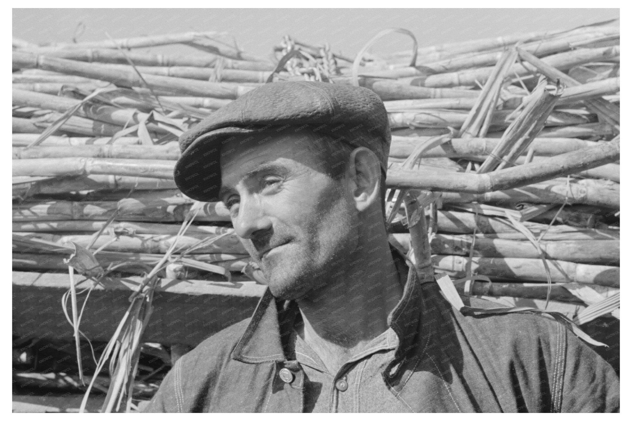 Sugarcane Farmer in Delcambre Louisiana October 1938 - Available at KNOWOL