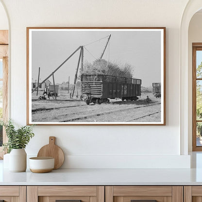 Sugarcane in Gondola Car New Roads Louisiana 1938 - Available at KNOWOL