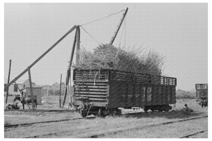 Sugarcane Loading in Gondola Car New Roads Louisiana 1938 - Available at KNOWOL