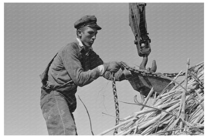 Sugarcane Loading in Louisiana 1938 Vintage Photo - Available at KNOWOL