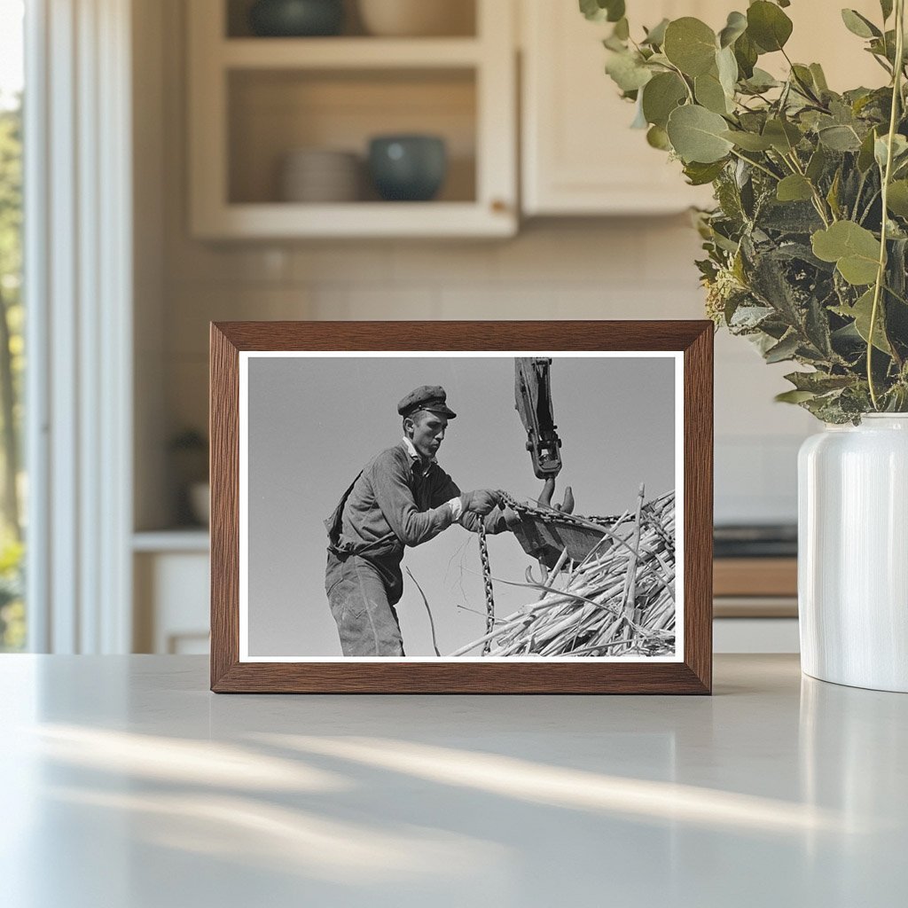 Sugarcane Loading in Louisiana 1938 Vintage Photo - Available at KNOWOL