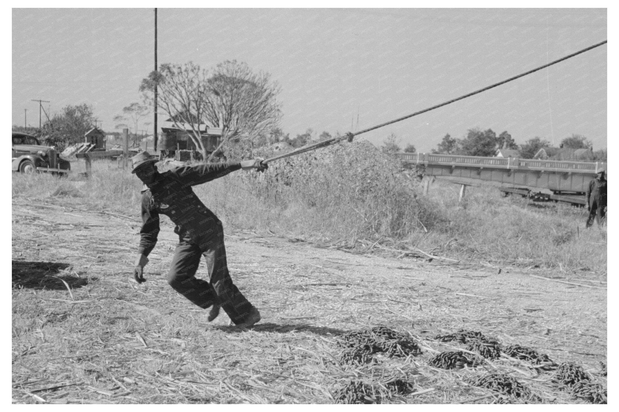 Sugarcane Removal at Louisiana Sugar Mill October 1938 - Available at KNOWOL