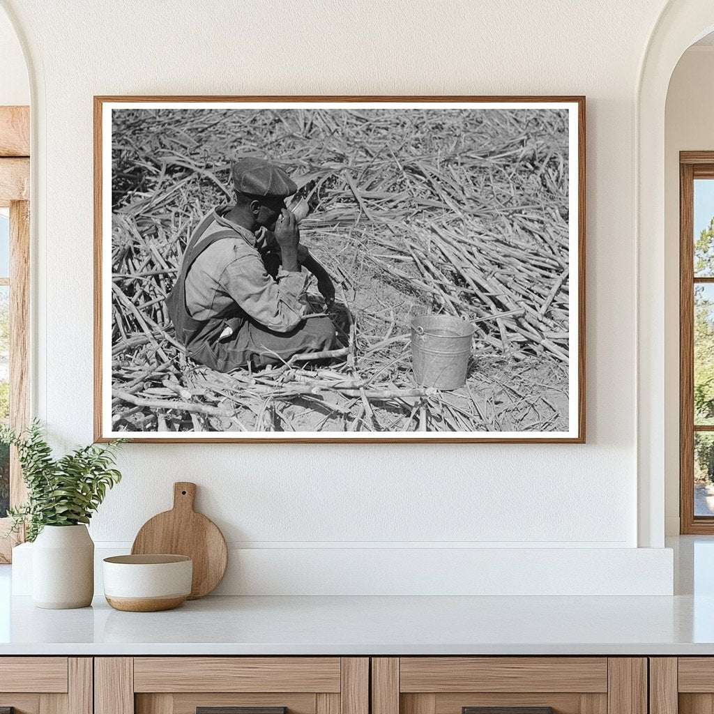 Sugarcane Worker Drinking Water Louisiana 1938 - Available at KNOWOL