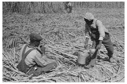 Sugarcane Worker Drinking Water Louisiana October 1938 - Available at KNOWOL