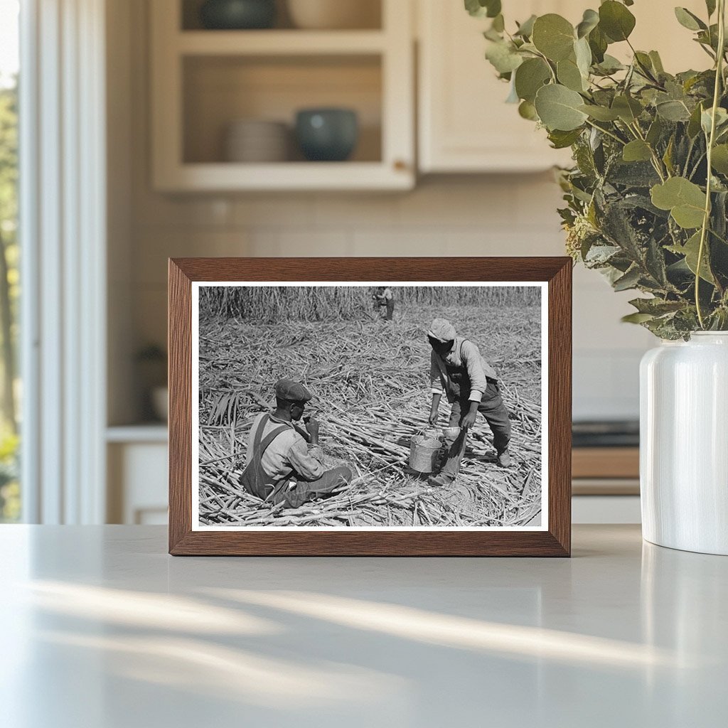 Sugarcane Worker Drinking Water Louisiana October 1938 - Available at KNOWOL