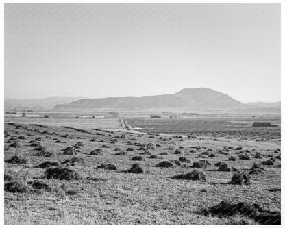 Sunset Valley Agricultural Landscape Malheur County 1939 - Available at KNOWOL