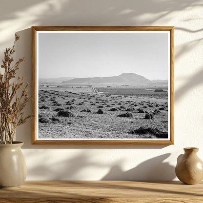 Sunset Valley Agricultural Landscape Malheur County 1939 - Available at KNOWOL