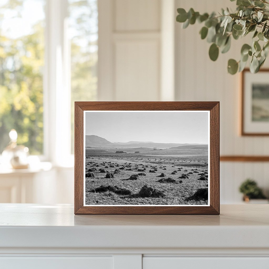 Sunset Valley Agriculture Malheur County Oregon 1939 - Available at KNOWOL