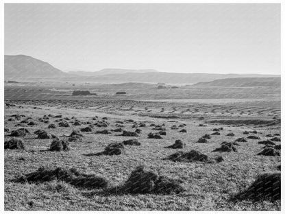 Sunset Valley Malheur County Oregon October 1939 - Available at KNOWOL