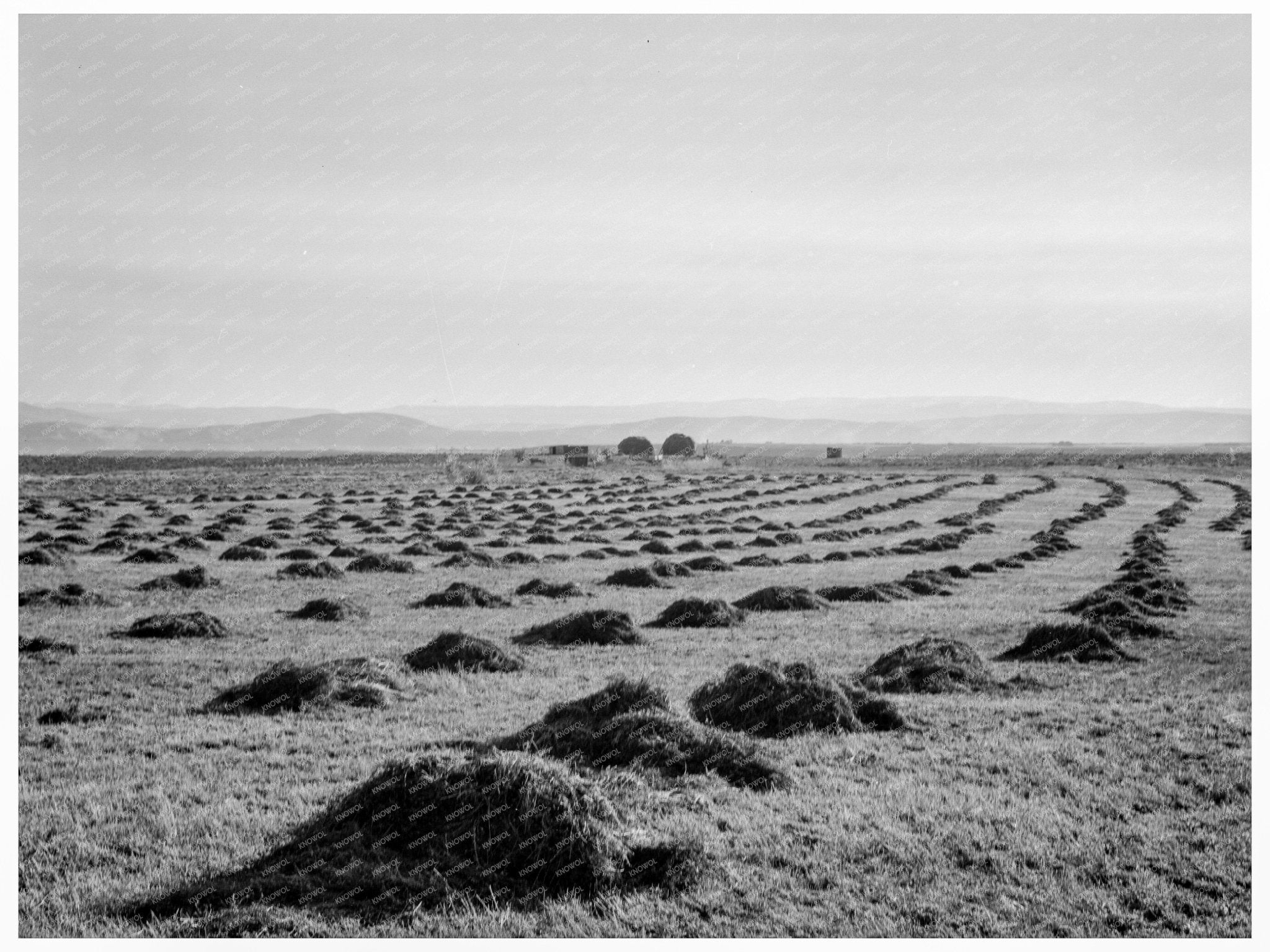 Sunset Valley Malheur County Oregon October 1939 Landscape - Available at KNOWOL