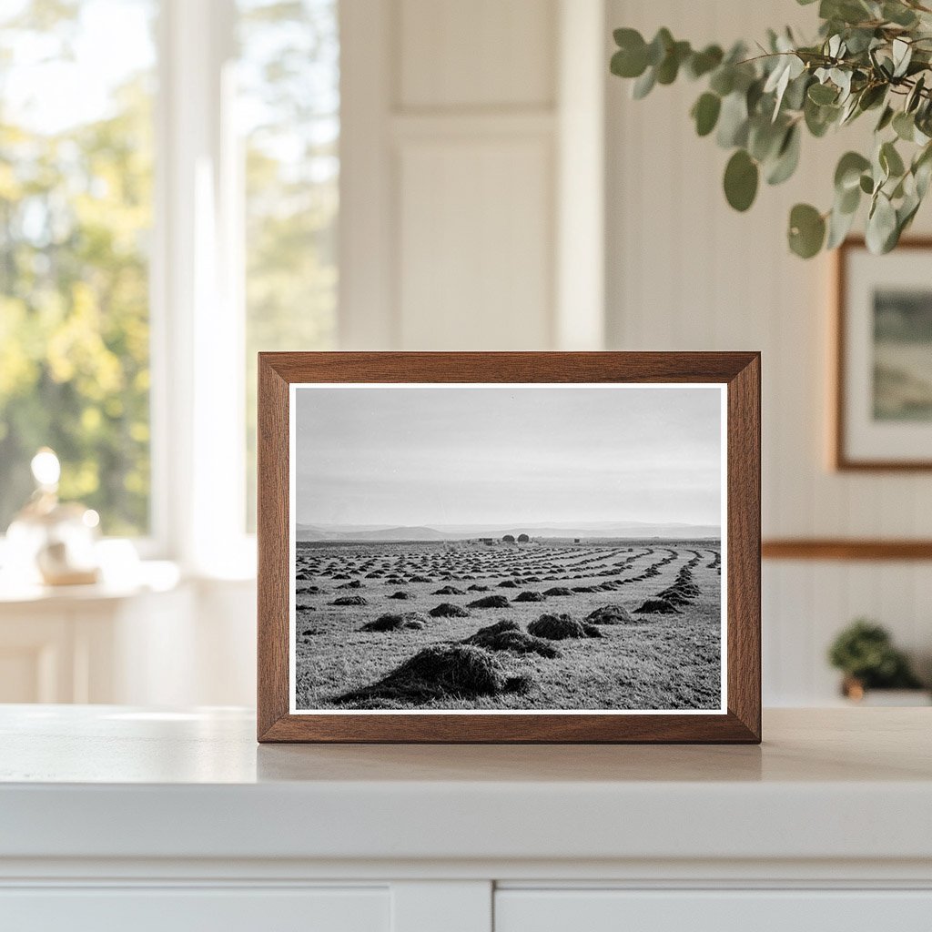 Sunset Valley Malheur County Oregon October 1939 Landscape - Available at KNOWOL