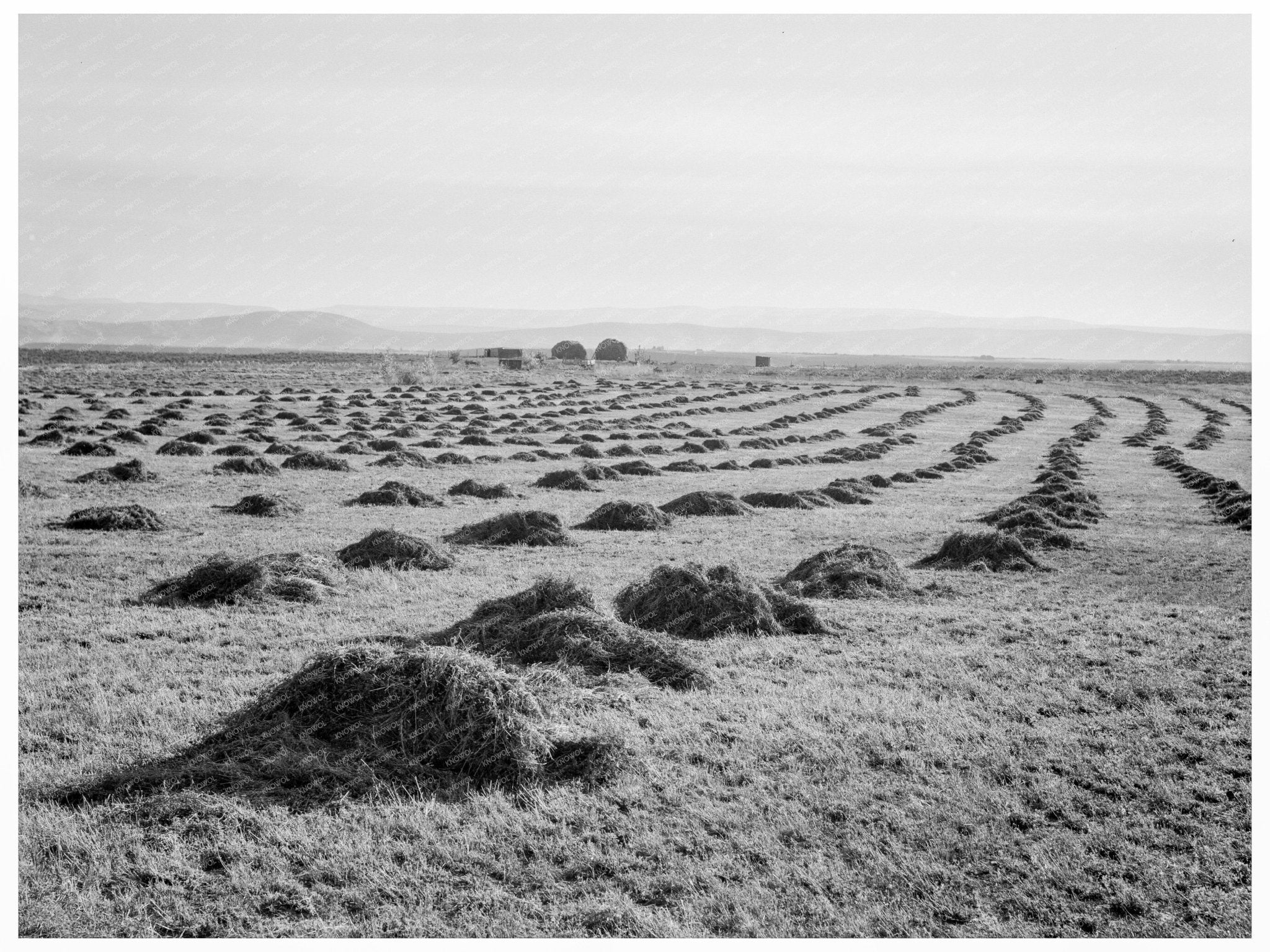 Sunset Valley Oregon Landscape 1939 - Available at KNOWOL