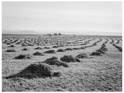 Sunset Valley Oregon Landscape 1939 - Available at KNOWOL