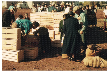 Surplus Commodities Distribution in St. Johns Arizona 1940 - Available at KNOWOL