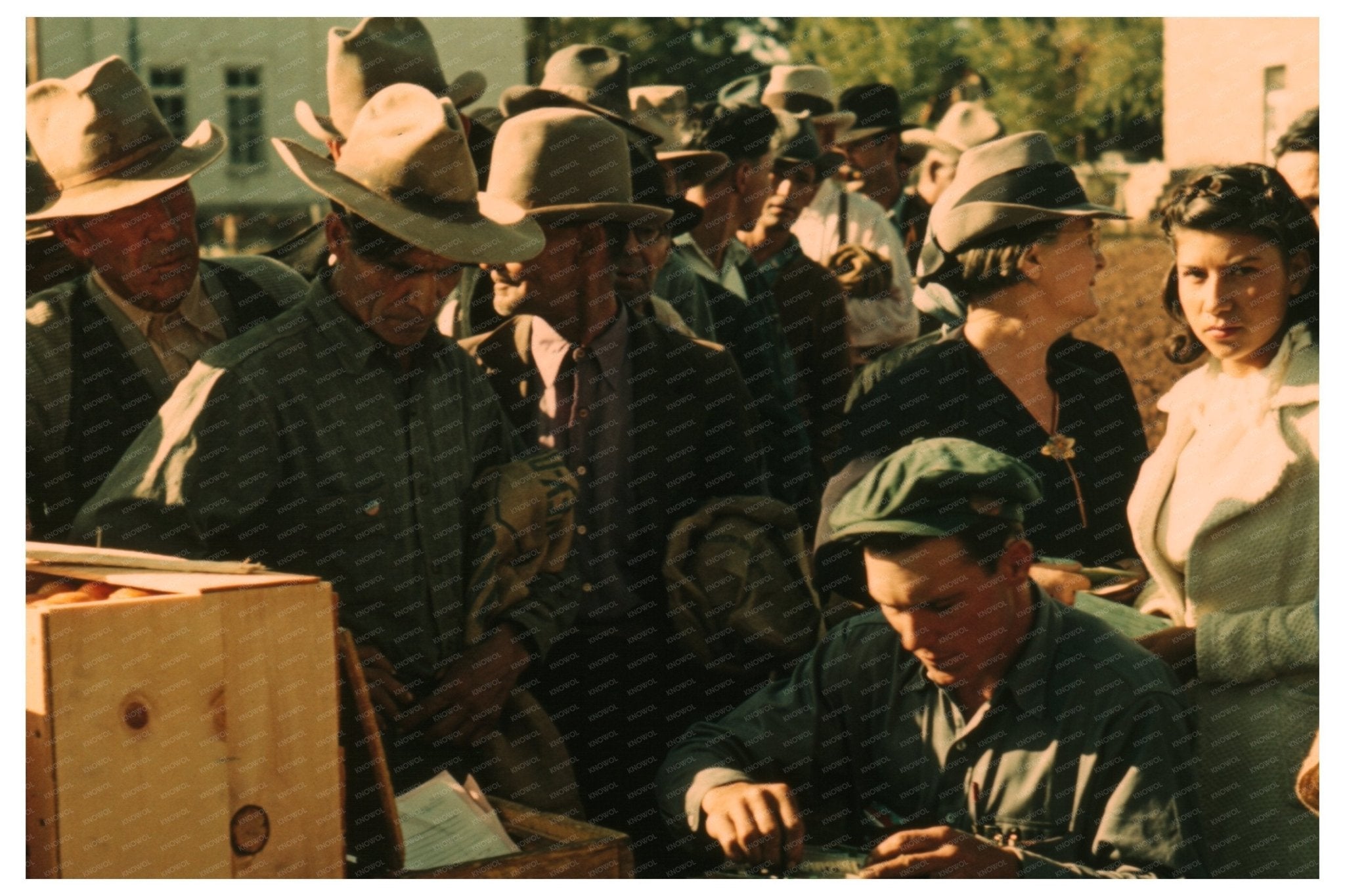 Surplus Commodities Distribution St. Johns Arizona 1940 - Available at KNOWOL